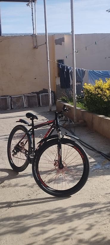 sezam velosiped: Şəhər və yüngül off-road üçün universal dağ velosipedi. REAL ALICIYA — 1