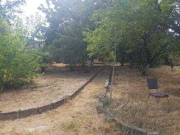 ferma torpaq: 24 sot, Tikinti, Makler, Kupça (Çıxarış) — 3