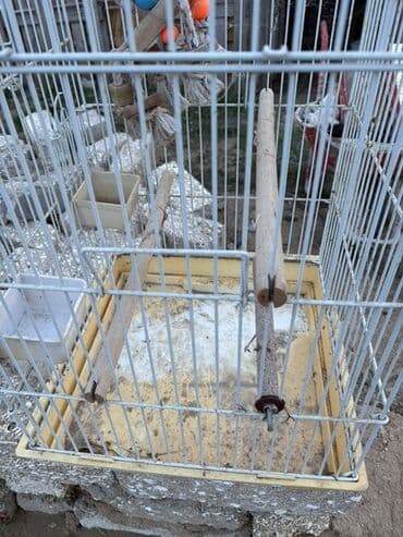 Daewoo: Quş qəfəsi - Material: metal barmaqlıqlar, plastik altlıq - Rəng: ağ — 3