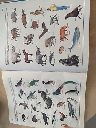 bas gitara: Məhsul: Biologiya üzrə illüstrasiyalı dərslik/kitab Xüsusiyyətlər: - — 7
