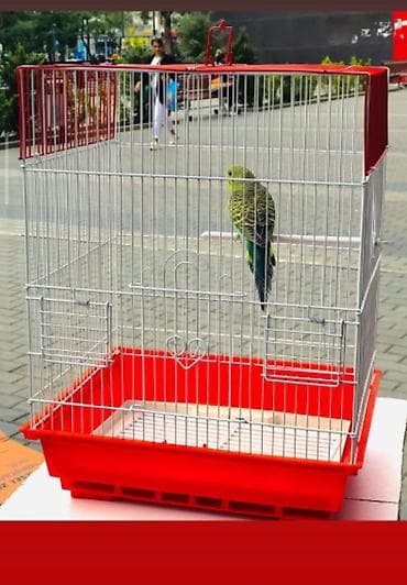 Голуби: Bala Valnisti 9azn Boş qəfəs 9azn 1 bala quş +Qəfəs +Suqabı+Yemqabı — 7