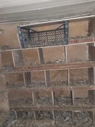 Heyvanlar üçün mallar: Quş yuvaları və kiçik quşxana - Material: taxta karkas, arakəsməli — 6