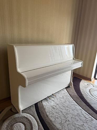 musiq: Piano, Zimmermann, Akustik — 10