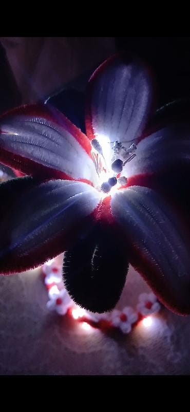 Dekor məhsulları — 3