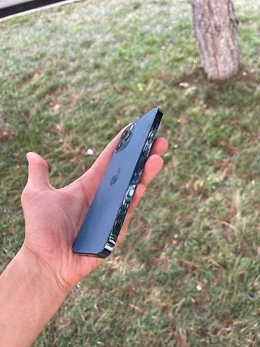 tank 3 pro max: IPhone 12 Pro, 128 GB, Blue Titanium, Face ID — 2