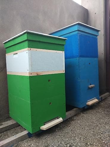 hinduska cucesi satilir: Arı yeşikləri. Hər növ arı yeşikləri, ramkalar. Lejat, dadan, 10 — 2