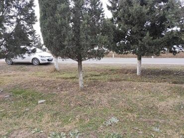 türkanda bağ evi satılır: 34 соток, Для строительства, Собственник, Купчая — 7