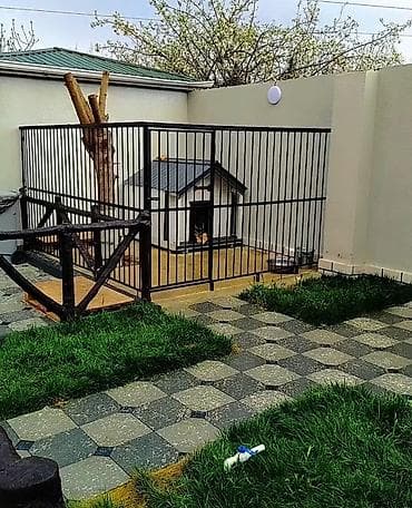 bu iti: It üçün xüsusi açıq hava volyeri və taxta-böyük it evi - Həyət üçün — 1