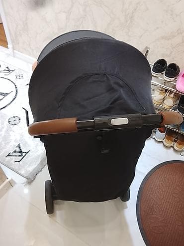 mini toy pudel: Klassik gəzinti arabası — 2