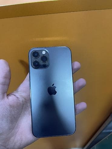 IPhone 12 Pro, Graphite