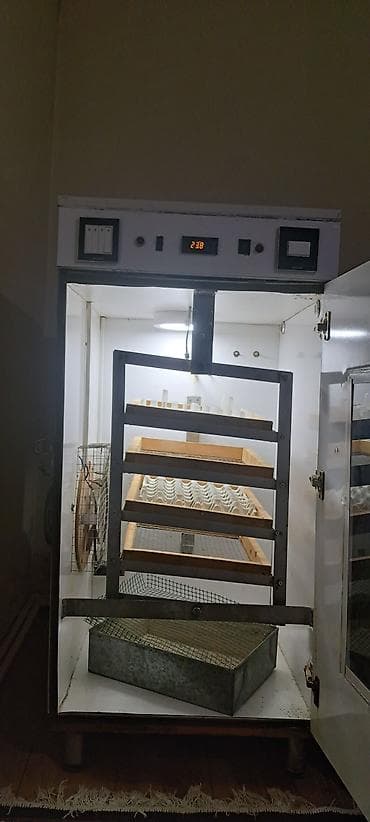 Azərbaycan, Tam avtomat — 3