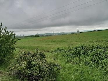 sumqayit 5 otaqli evler: 45 sot, Kənd təsərrüfatı, Kupça (Çıxarış) — 5