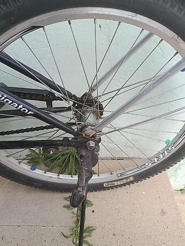 stels: Şəhər velosipedi Stels, 26", sürətlərin sayı: 1 — 3