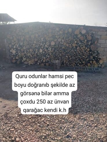 şam ağacı satışı: Quru odun – soba üçün doğranmış - Tamamilə quru odunlar - Hamısı — 1