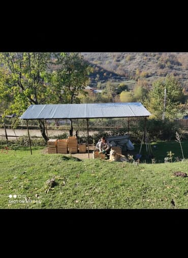 torpax: 20 sot, Tikinti, Mülkiyyətçi, Kupça (Çıxarış) — 1