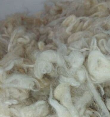 Təbii qoyun yun lifləri - Rəng: ağ/krem tonları - Lif tipi: qıvrım