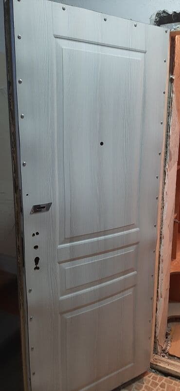 Двери и комплектующие: Polad giriş qapısı – ikiüzlü model - Material: möhkəm polad — 2