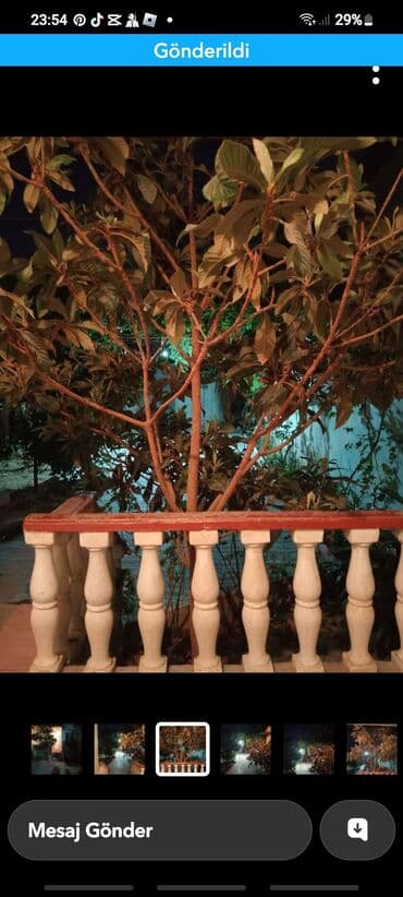 binəqədidə hazir ipatekada olan evlər: Biləcəri 3 otaqlı, 110 kv. m, Kredit yoxdur, Yeni təmirli — 4