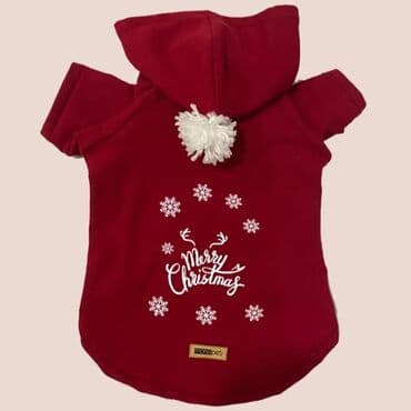 отдам в добрые руки щенка баку 2019: 1 il, Erkek — 2