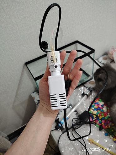 Pişiklər: Akvaryum dəsti - Şüşə akvaryum: düzbucaqlı forma, yuxarı və aşağı — 7