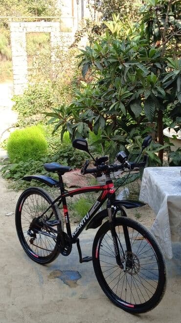 Şəhər velosipedi 28"