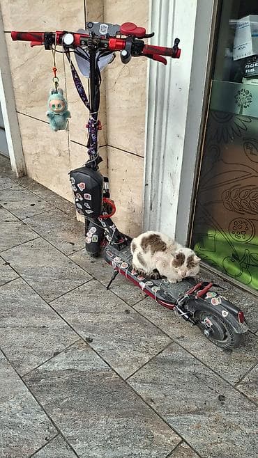 CD, DVD диски и кассеты: ST555 800W 16ah 100azn xərci var reyal alıcıynan qiymət haqqında — 2