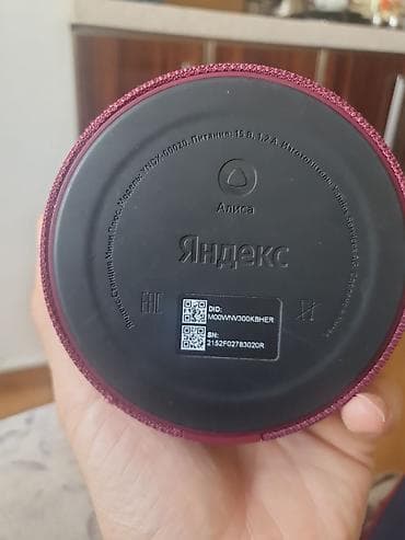 dji mikrofon: Yandex Kolonka, Növ - Smart, rəng - Bənövşəyi — 4