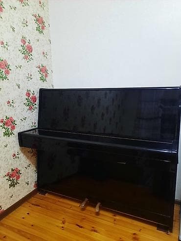pian: Piano ela veziyyetde. 2 pedaldi. Her bir seyi ela veziyyetdedir. Unvan — 5