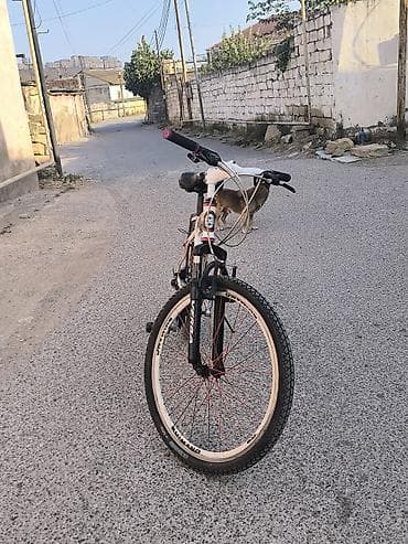velesiped: VERBA VT6-880 velosiped - Tip: Dağ/şəhər tipli velosiped - Çərçivə — 5