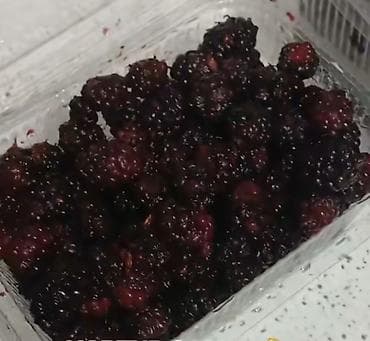 Əsl Xartut meyvəsi.Sifarişlə təzə təzə yığılır.5 Kilo alanda endirim — 1