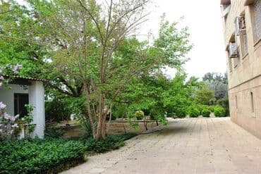 baki hovuzlu evler: 5 otaqlı, 800 kv. m, Yeni təmirli — 24