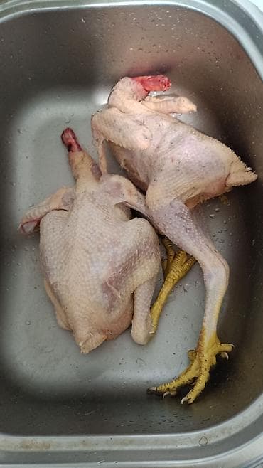 kənd toyuqlari: Təbii Qırmızı Sasso Çolpaları – Cəmi 12 AZN! 🐔 Tam sağlam, təbii — 8