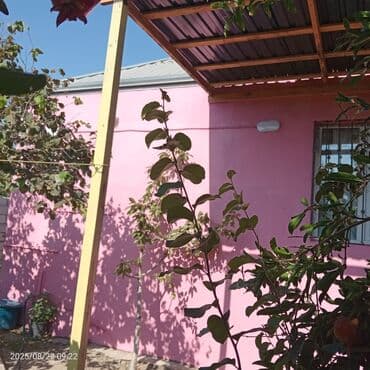 yaşıl dərə həyət evləri: 1 otaqlı həyət evi – bağ sahəsi ilə - Giriş: Həyətyanı sahəyə açılan — 16