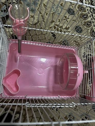 Yataqlar: 1 ədəd ana hamster 3 ədəd bala hamster 2 kletka biri böyük biri — 2