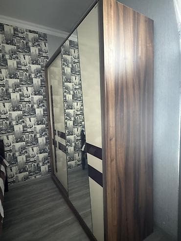 İşlənmiş, 2 qapılı, Güzgülü, Qəhvəyi, Taxta, Kupe, Düz dolab — 2