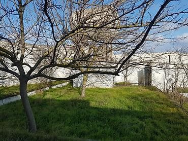 ev alqi satqsi: Bakı, Bilgəh qəs., 180 kv. m, 8 otaq, Hovuzlu, Qaz, İşıq, Su — 4