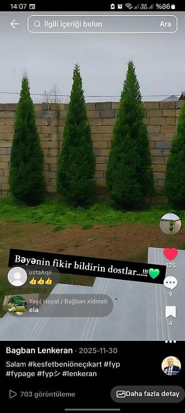 Bağban xidməti – Lənkəran Dekorativ gul kol Agaclarin budanmasi lalafo.az -da Bağban xidməti – Lənkəran Dekorativ gul kol Agaclarin budanmasi