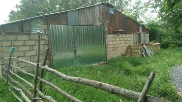 torpaq satisi saytlari: 82 sot, Kənd təsərrüfatı, Kupça (Çıxarış) — 8