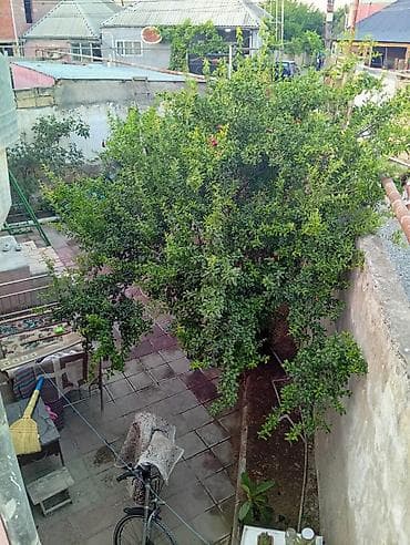 harmony residence: Binəqədi qəs. 3 otaqlı, 1 kv. m, Kredit yoxdur, Orta təmir — 6