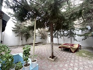 samir eliyev: Şəhərin ən prestijli küçələrindən biri olan Məmməd Araz küçəsində — 2