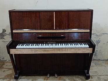 Piano, Belarus, Akustik