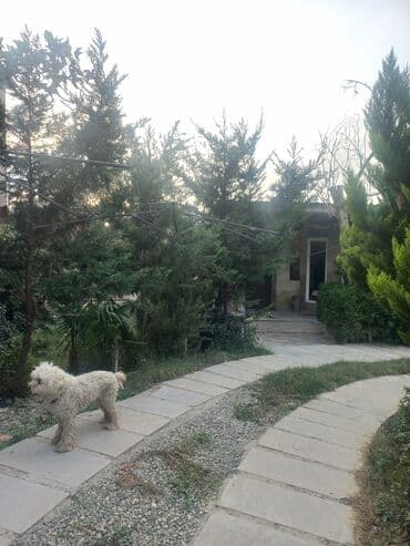 1 комнатные квартиры в баку новостройка: Yaşıl həyətli fərdi ev sahəsi 6 sot torpaq1 sot ev,2 otağ hazır — 2