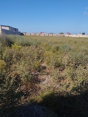 samuxda torpaq satilir: Tikinti — 7