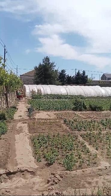 quba a frame evlər: Bakı, Türkan qəs., 20 kv. m, 2 otaqlı, Hovuzsuz, Qaz, İşıq, Su — 3