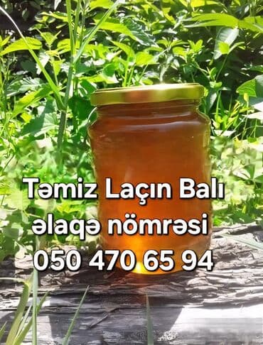 Yarmalar və paxlalar: Məhsul: Təmiz Laçın balı Təsvir: - Şüşə qabda, qapaqlı təqdim olunan — 1