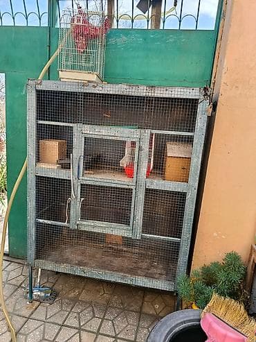 bildirçin: Quşlar üçün iri volyer/ qəfəs - Material: metal karkas və möhkəm — 4