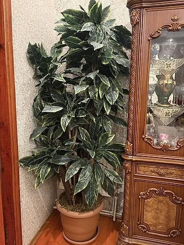 Böyük ölçülü dekorativ süni ağac (qapalı məkan üçün) - Realistik