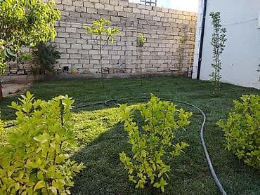 Услуги: Hazır rulon qazon – peşəkar quraşdırma xidməti Təsvir: - Yaşıl, sıx — 4