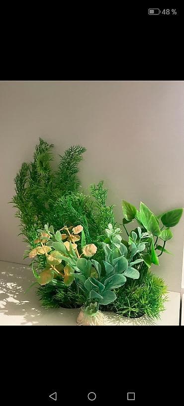 akvarium baki: Dördbucaq akvarium, Boş, 150 l, Ünvandan götürmə, Ödənişli çatdırılma, Rayonlara çatdırılma — 6