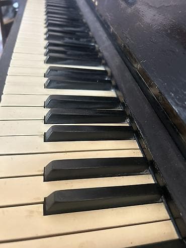 piyanina: Piano, Akustik, İşlənmiş, Ünvandan götürmə — 2